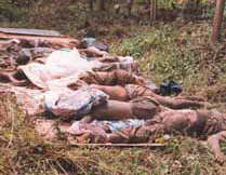 casamance en temps de guerre